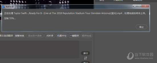 人人译视界如何添加中文字幕？人人译视界加中文字幕操作步骤分享