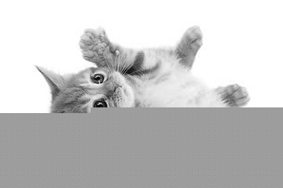 PS如何做素描画效果 素描画效果制作方法分享