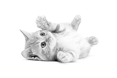 PS如何做素描画效果 素描画效果制作方法分享