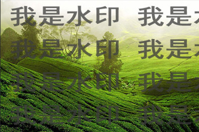 PS如何在图片上加logo？在图片上加logo技巧分享