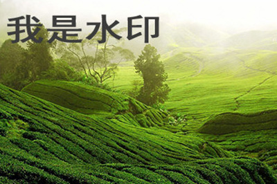 PS如何在图片上加logo？在图片上加logo技巧分享