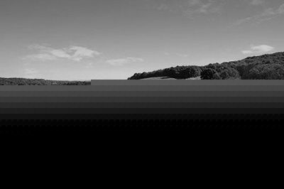 PS怎么弄成黑白照 弄成黑白照方法推荐