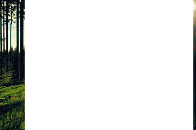 PS如何局部调亮 局部调亮技巧分享