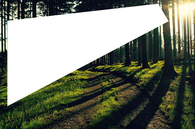 PS如何局部调亮 局部调亮技巧分享