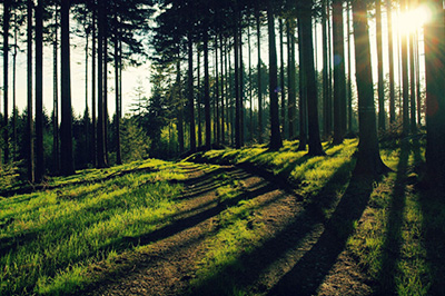 PS如何局部调亮 局部调亮技巧分享