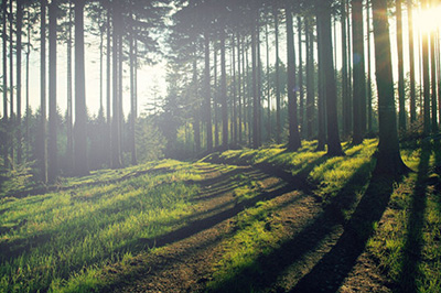 PS如何局部调亮 局部调亮技巧分享