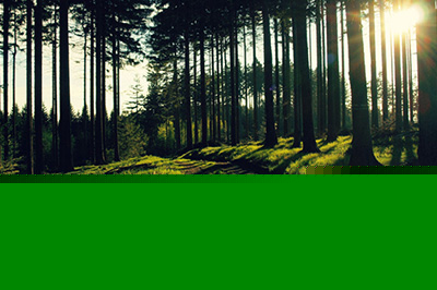 PS如何局部调亮 局部调亮技巧分享