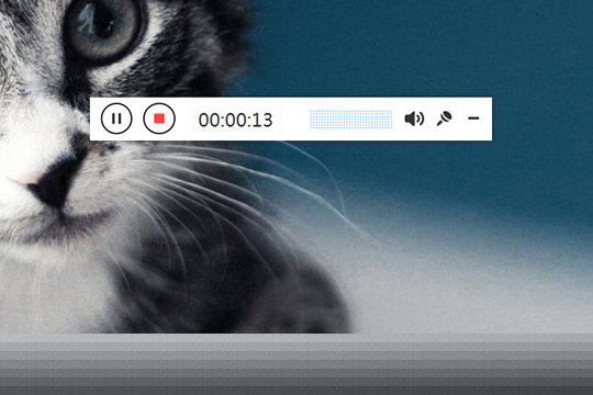 Apowersoft录屏王怎样录系统声音 录系统声音方法介绍