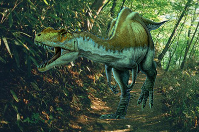 PS如何将图片融入背景？将图片融入背景方法分享