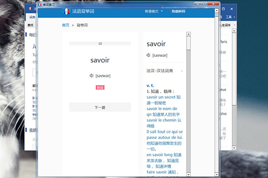 法语助手如何进行单词复习?单词复习方法分享