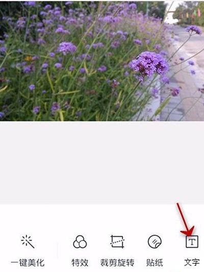 天天p图怎么给照片添加文字？给照片添加文字方法介绍
