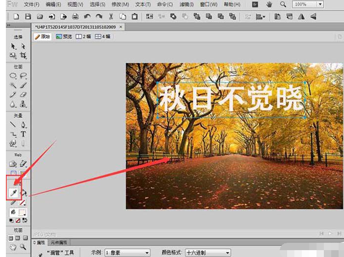Fireworks在图片上输入文字的操作过程