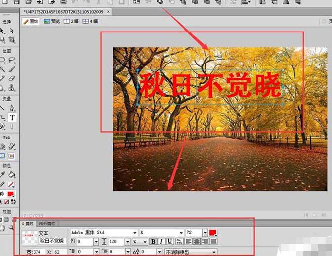 Fireworks在图片上输入文字的操作过程