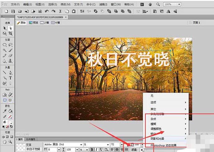 Fireworks在图片上输入文字的操作过程