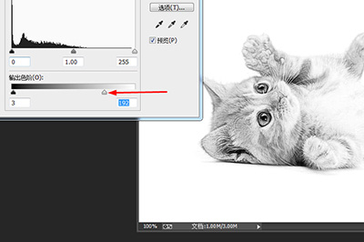 Photoshop制作素描效果详细操作流程
