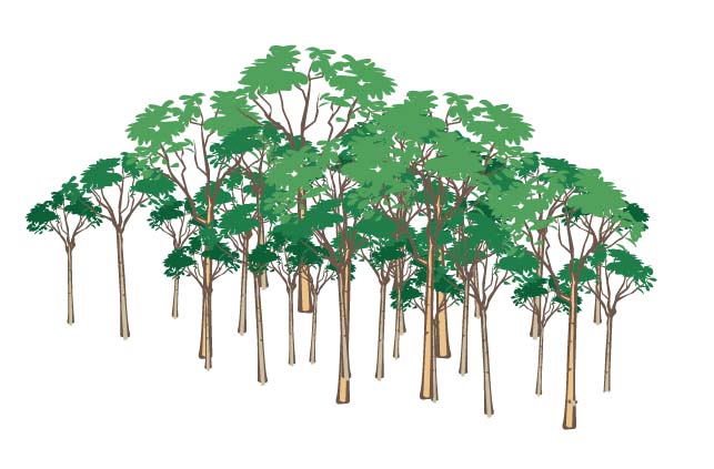 ai绘制一片森林画的操作步骤