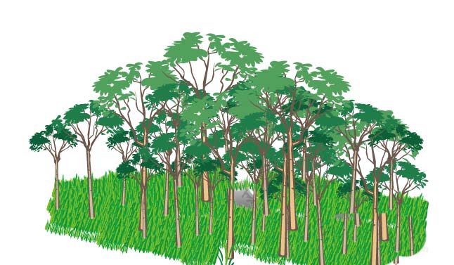 ai绘制一片森林画的操作步骤