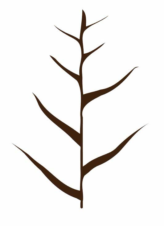 ai绘制矢量小树苗插画的详细操作讲解