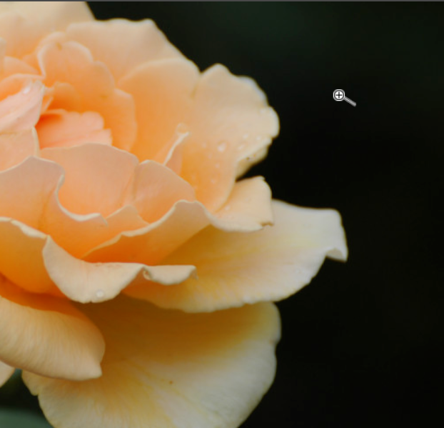 Photoshop使用抓手工具的简单操作方法