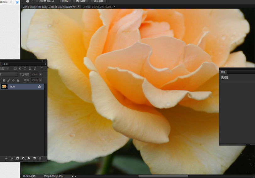 Photoshop使用抓手工具的简单操作方法