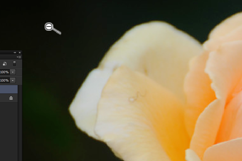 Photoshop使用抓手工具的简单操作方法