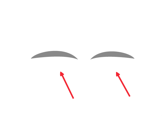 ai绘画眉毛矢量图详细操作步骤介绍