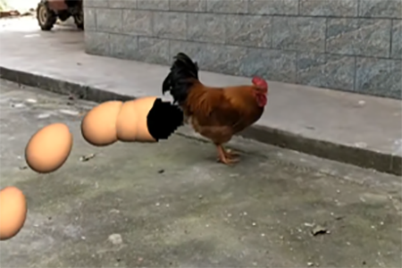 视+AR APP设置下蛋特效具体操作步骤