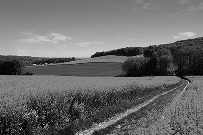 PS制作黑白照方法