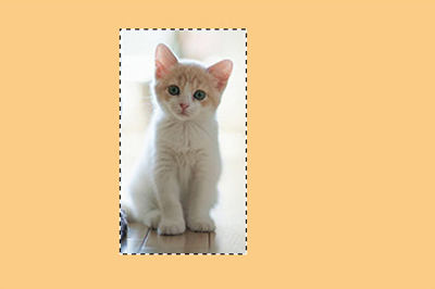 Photoshop为图片加边框具体操作步骤