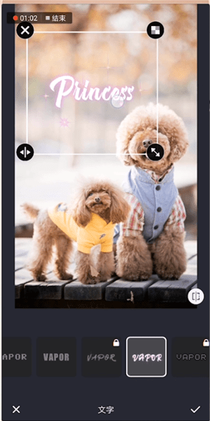 蒸汽波相机弄文字具体操作步骤