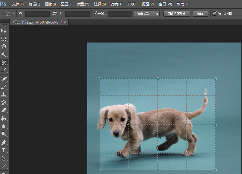 Photoshop中使用透视裁剪工具具体操作步骤