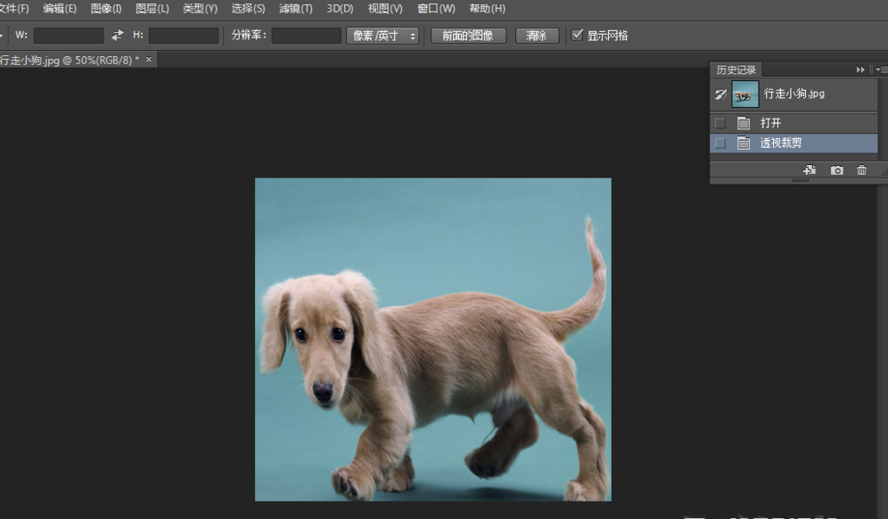 Photoshop中使用透视裁剪工具具体操作步骤