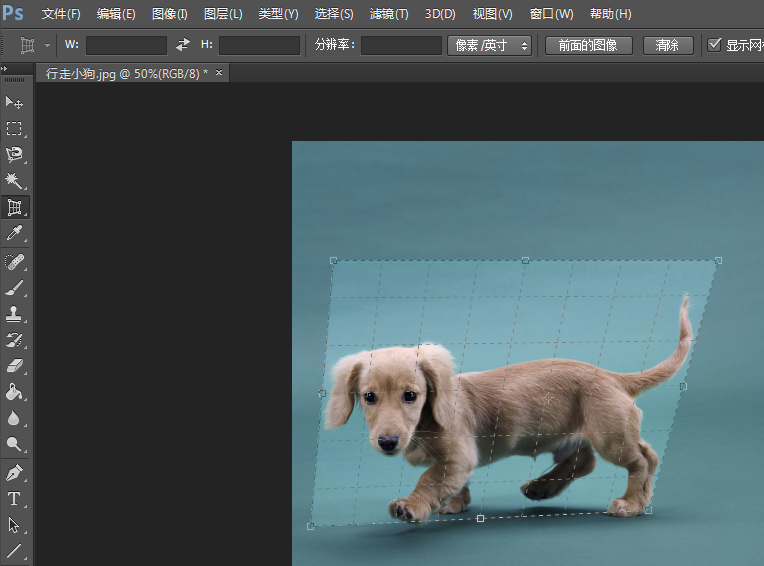 Photoshop中使用透视裁剪工具具体操作步骤