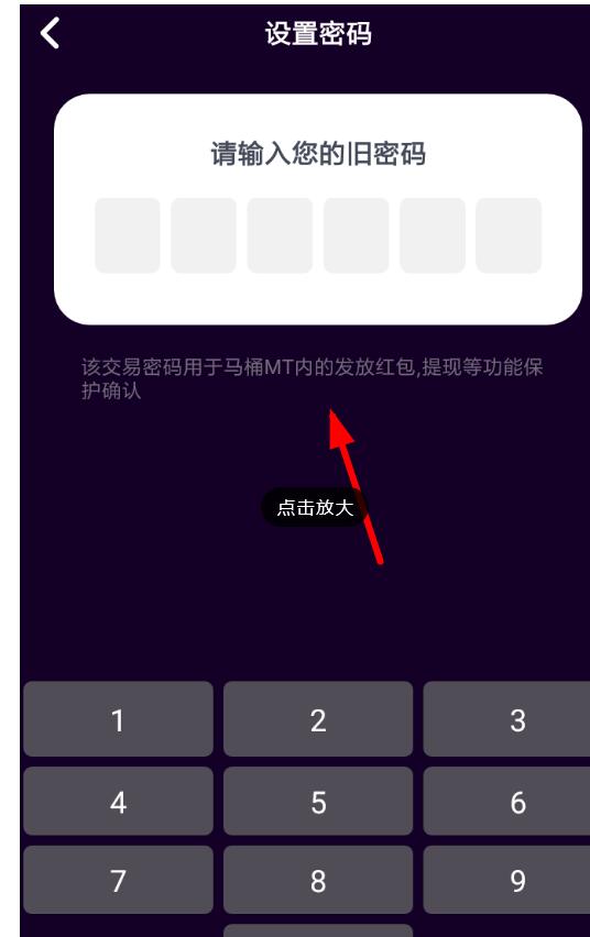 在马桶MT中设置交易密码方法讲解