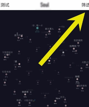 在soul中进行语音匹配的方法介绍