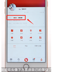 在全民K歌里进行升级详细操作