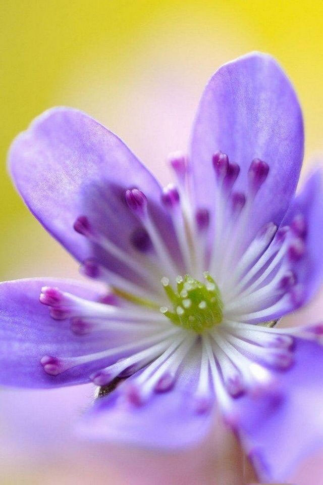 ps快速为两张图片做自然过渡具体操作方法