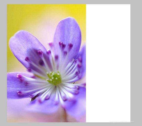 ps快速为两张图片做自然过渡具体操作方法