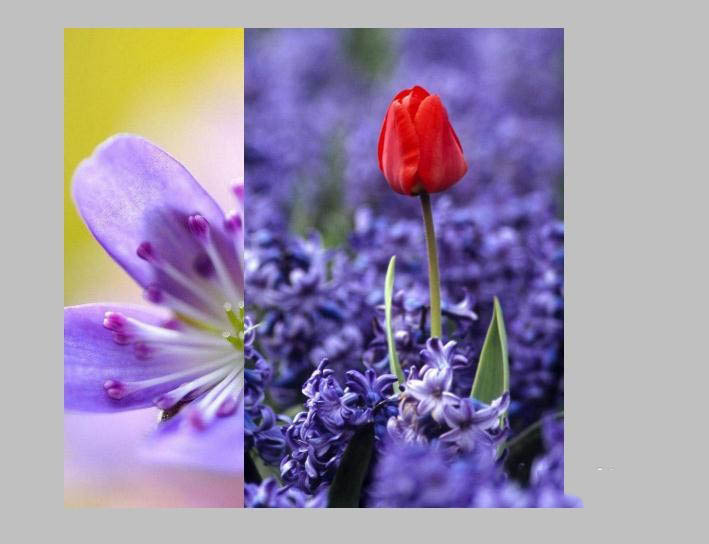 ps快速为两张图片做自然过渡具体操作方法