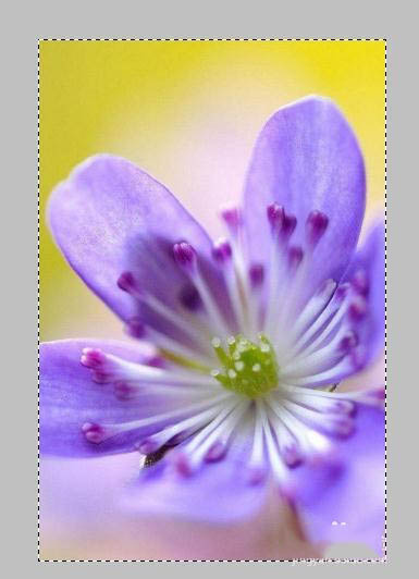 ps快速为两张图片做自然过渡具体操作方法