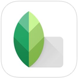 snapseed中调节画面倾斜程度的具体操作方法