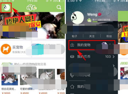握爪宠物app中添加宠物具体操作流程