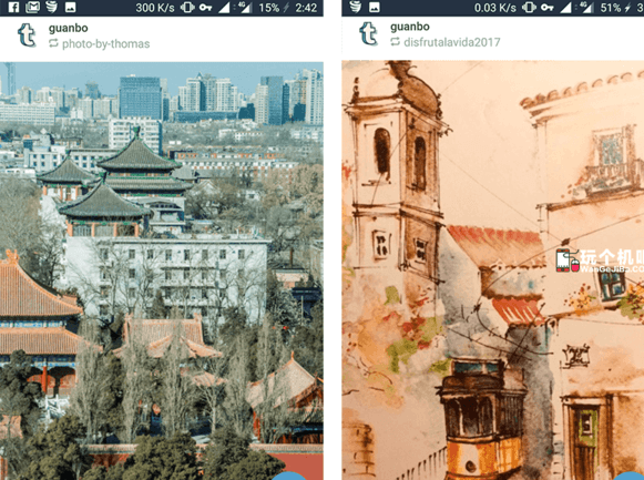 汤不热Tumblr软件详情介绍