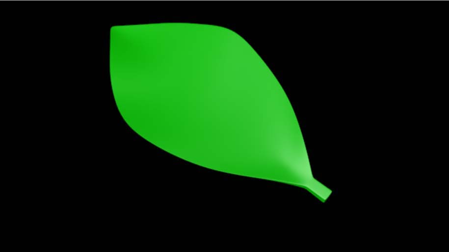 使用C4D建模一片绿色叶子具体操作方法