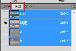 Photoshop制作出灰度图片具体方法介绍