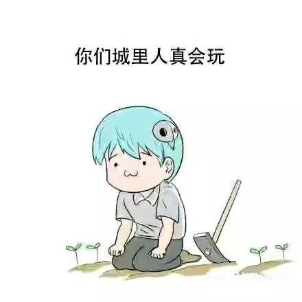 正规的借钱软件有哪些?正规的借钱软件盘点!