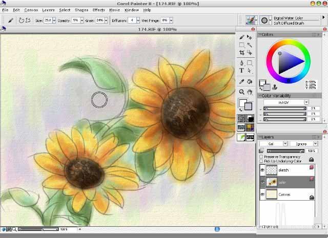 使用painter8绘画出水彩效果向日葵具体操作方法
