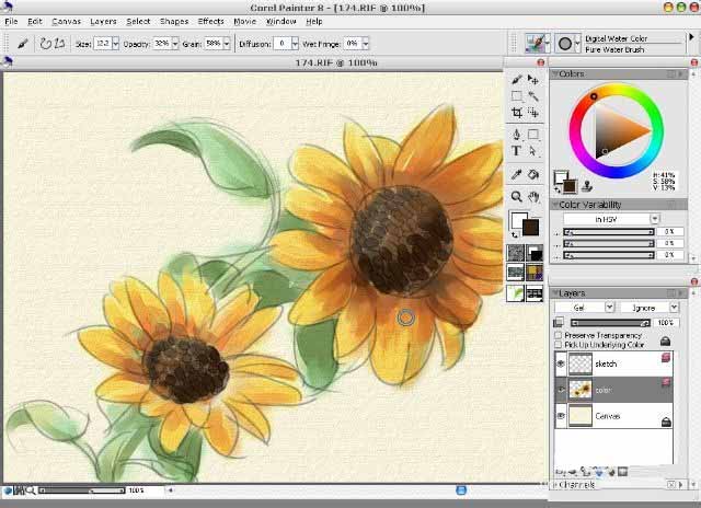 使用painter8绘画出水彩效果向日葵具体操作方法