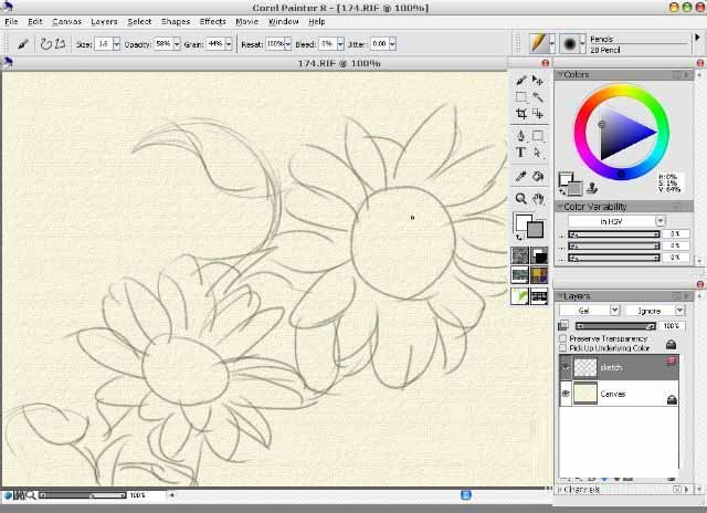 使用painter8绘画出水彩效果向日葵具体操作方法