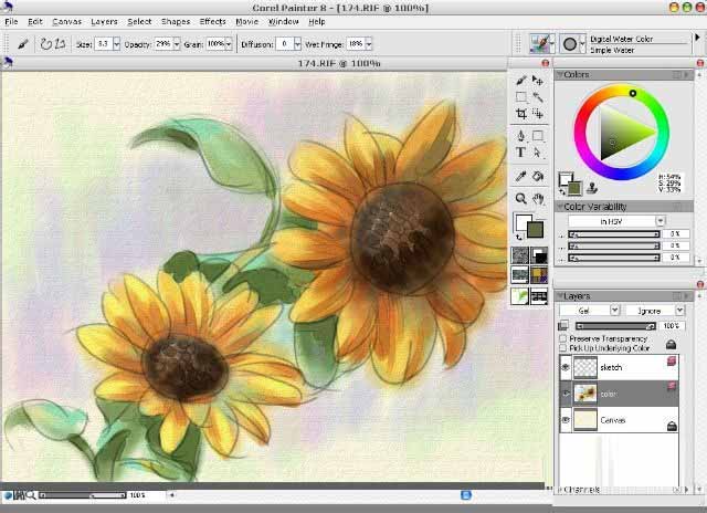 使用painter8绘画出水彩效果向日葵具体操作方法